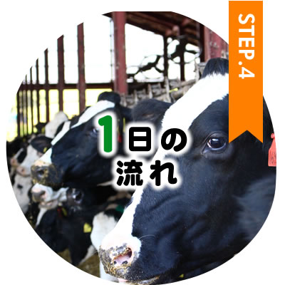 滝口牧場で働いてみよう・１日のスケジュール